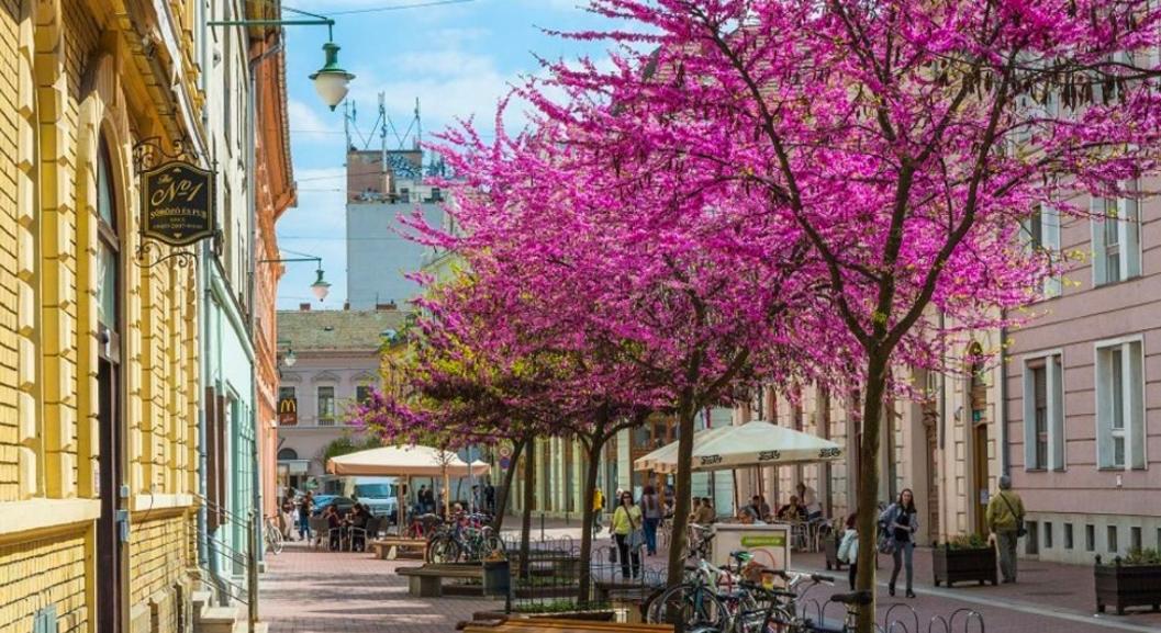 Downtown Dream Apartmans Σέγκεντ Εξωτερικό φωτογραφία